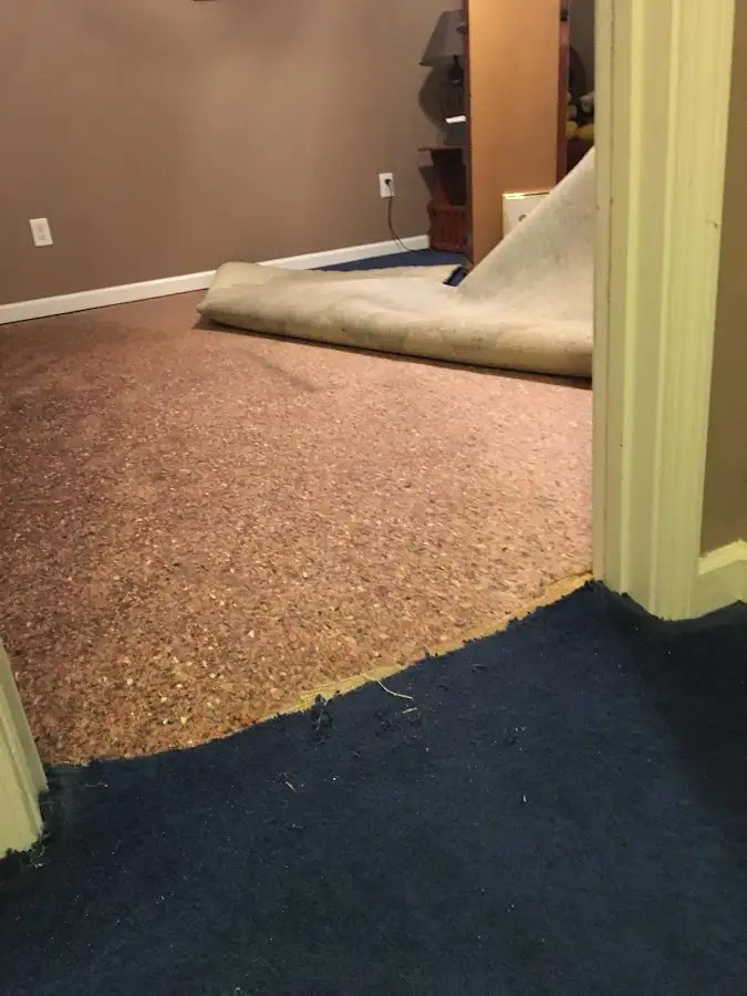 Carpet pad removal revealing water damage during Drying & Dehumidification in Randallstown