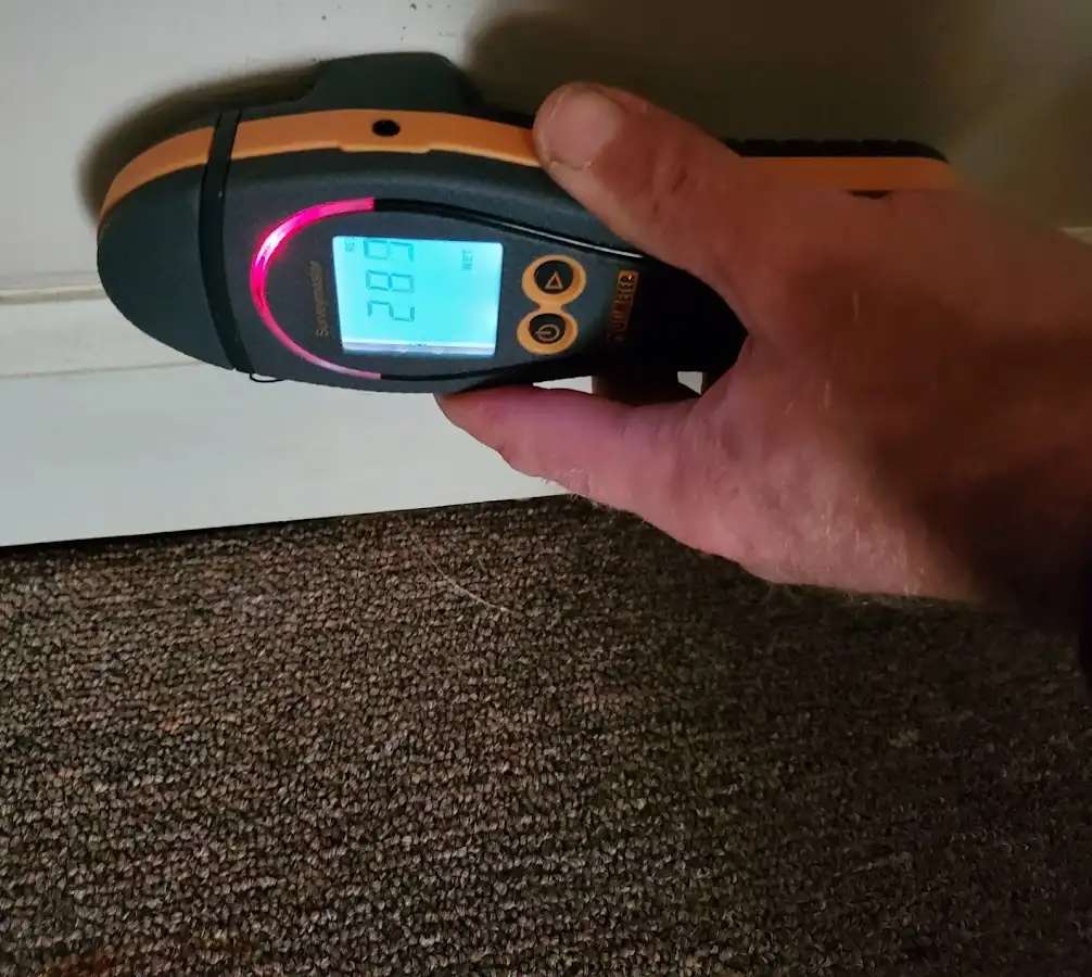 Moisture detection at baseboard during Sewage Cleanup & Sanitation in Randallstown